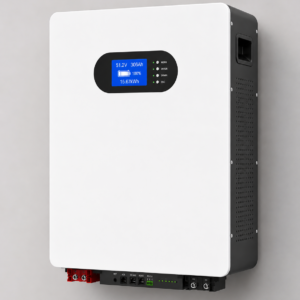 15.67kWh 51.2V 306Ah Wall-Mounted LiFePOâ‚„ Lithium Battery