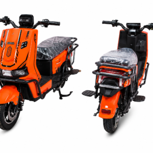 Electric bike (bigger size)
